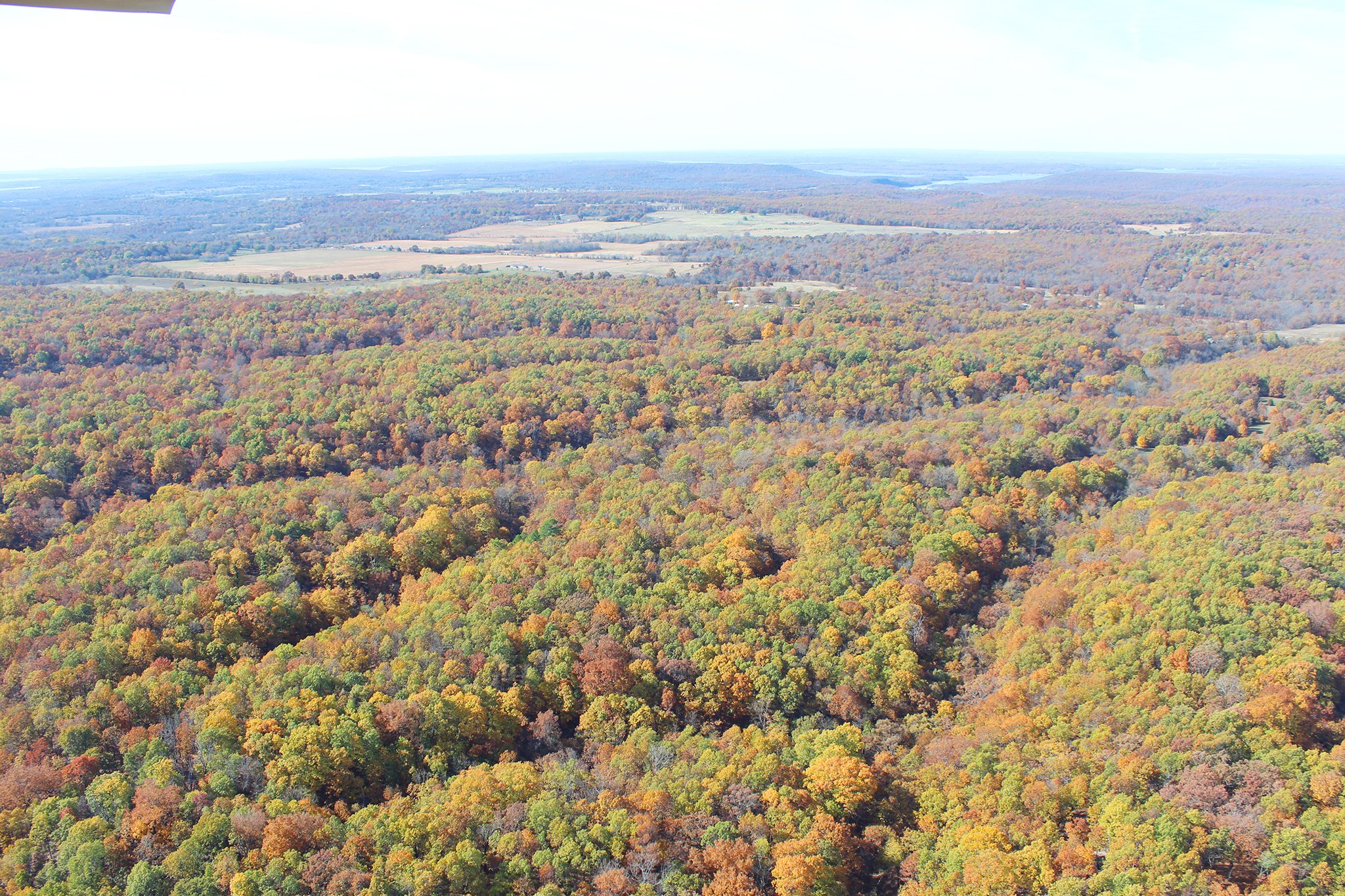 East Side of Whole Property - OKLAHOMA LAND & REAL ESTATE AUCTION, 438 +/- Acres offered in 13 Tracts